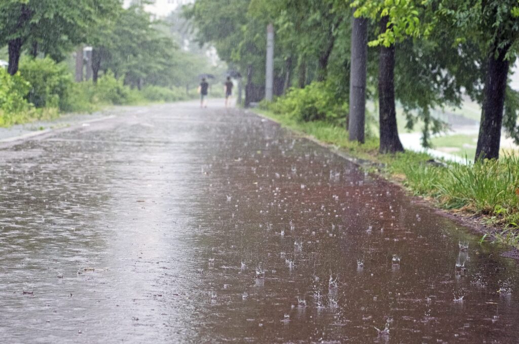 雨の日